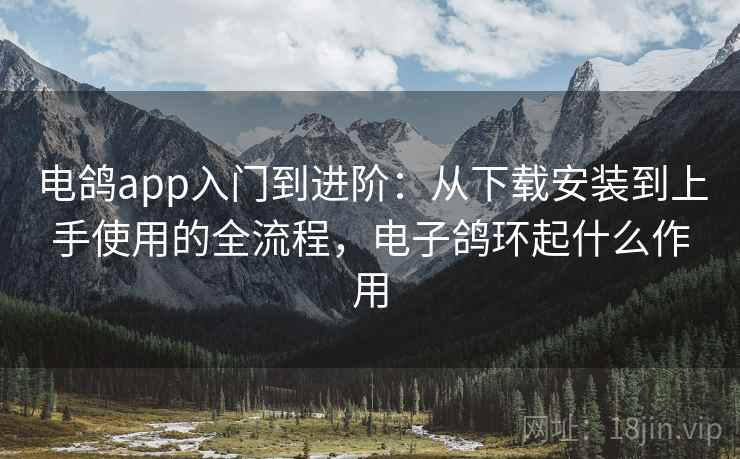 电鸽app入门到进阶:从下载安装到上手使用的全流程,电子鸽环起什么作用 电鸽app入门到进阶:从下载安装到上手使用的全流程,电子鸽环起什么作用