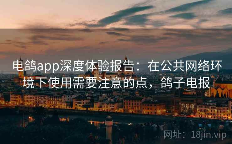 电鸽app深度体验报告：在公共网络环境下使用需要注意的点，鸽子电报
