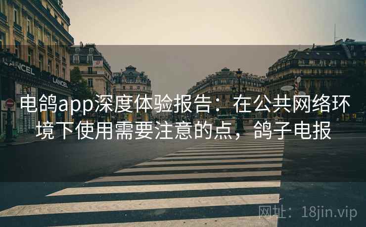 电鸽app深度体验报告:在公共网络环境下使用需要注意的点,鸽子电报 电鸽app深度体验报告:在公共网络环境下使用需要注意的点,鸽子电报