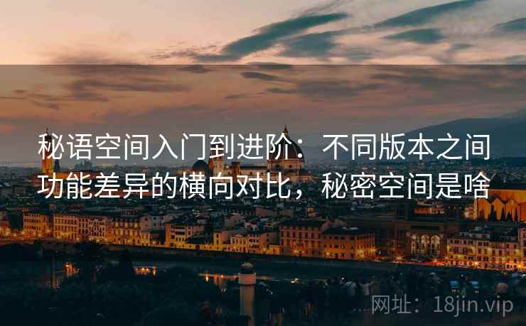 秘语空间入门到进阶：不同版本之间功能差异的横向对比，秘密空间是啥