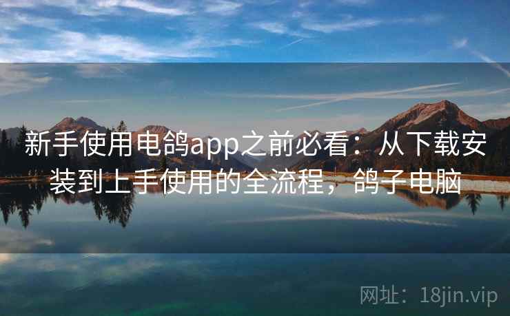 新手使用电鸽app之前必看：从下载安装到上手使用的全流程，鸽子电脑