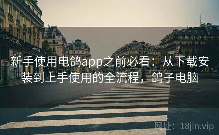 新手使用电鸽app之前必看：从下载安装到上手使用的全流程，鸽子电脑