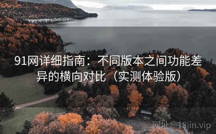 91网详细指南：不同版本之间功能差异的横向对比（实测体验版）