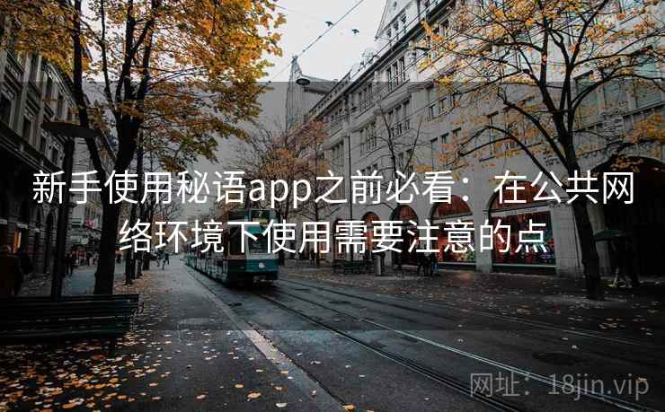 新手使用秘语app之前必看：在公共网络环境下使用需要注意的点