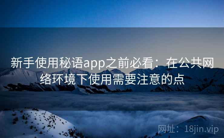 新手使用秘语app之前必看：在公共网络环境下使用需要注意的点