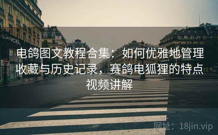 电鸽图文教程合集：如何优雅地管理收藏与历史记录，赛鸽电狐狸的特点视频讲解