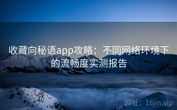收藏向秘语app攻略：不同网络环境下的流畅度实测报告