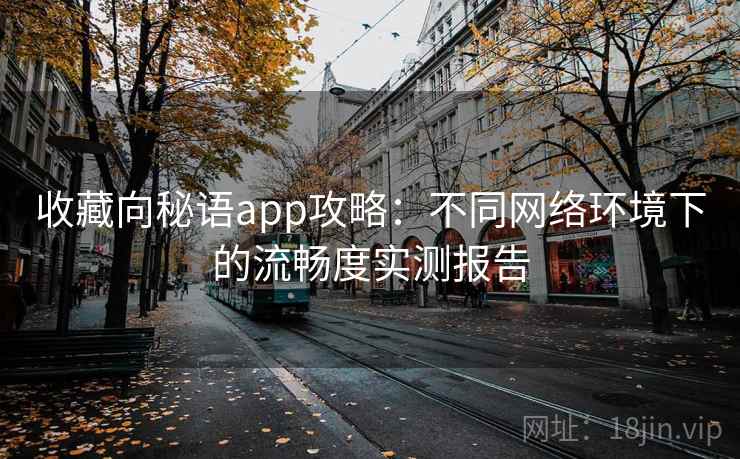 收藏向秘语app攻略：不同网络环境下的流畅度实测报告