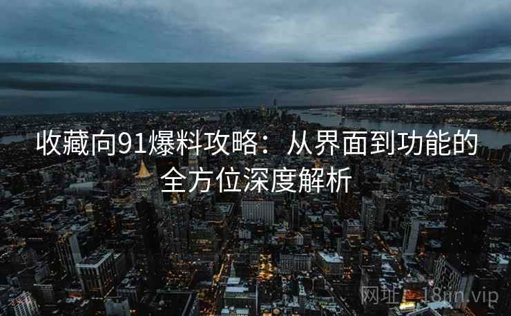 收藏向91爆料攻略：从界面到功能的全方位深度解析