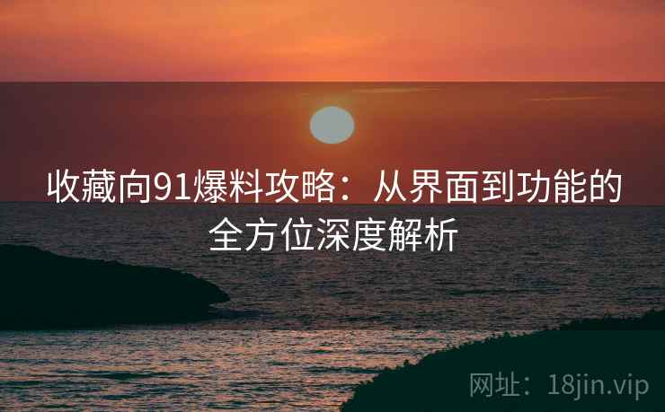 收藏向91爆料攻略：从界面到功能的全方位深度解析
