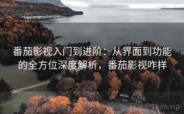 番茄影视入门到进阶:从界面到功能的全方位深度解析,番茄影视咋样