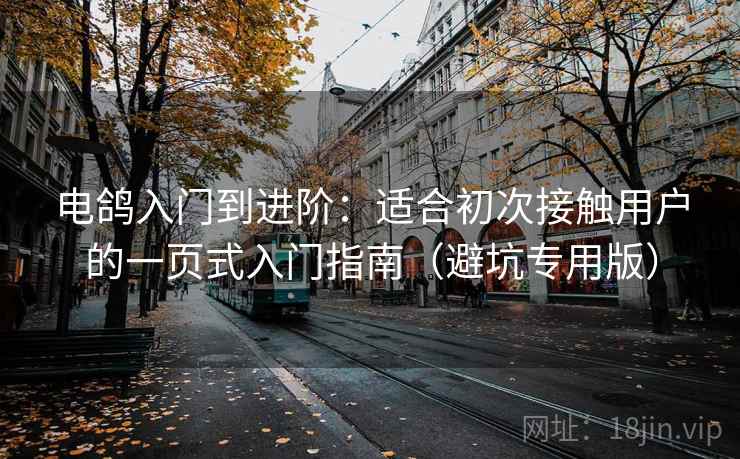 电鸽入门到进阶:适合初次接触用户的一页式入门指南(避坑专用版) 电鸽入门到进阶:适合初次接触用户的一页式入门指南(避坑专用版)