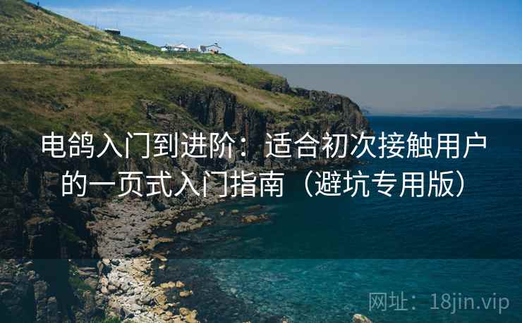 电鸽入门到进阶:适合初次接触用户的一页式入门指南(避坑专用版)