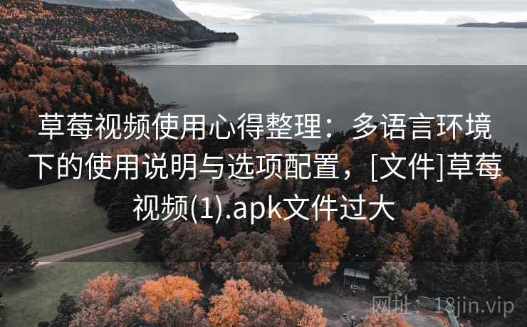 草莓视频使用心得整理：多语言环境下的使用说明与选项配置，[文件]草莓视频(1).apk文件过大