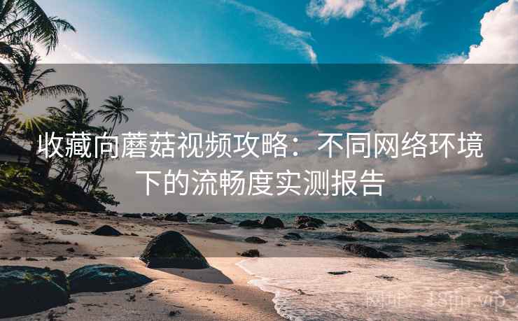 收藏向蘑菇视频攻略:不同网络环境下的流畅度实测报告 收藏向蘑菇视频攻略:不同网络环境下的流畅度实测报告