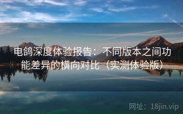 电鸽深度体验报告:不同版本之间功能差异的横向对比(实测体验版) 电鸽深度体验报告:不同版本之间功能差异的横向对比(实测体验版)
