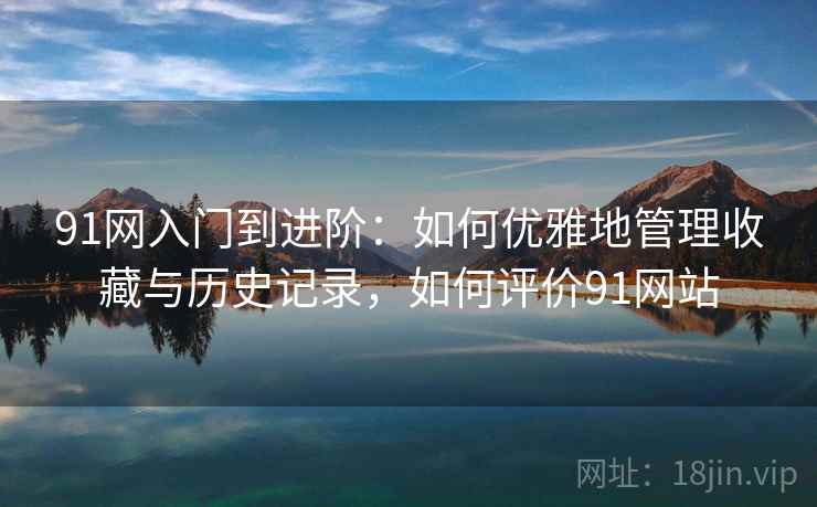 91网入门到进阶:如何优雅地管理收藏与历史记录,如何评价91网站
