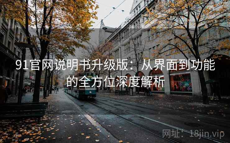 91官网说明书升级版:从界面到功能的全方位深度解析 91官网说明书升级版:从界面到功能的全方位深度解析